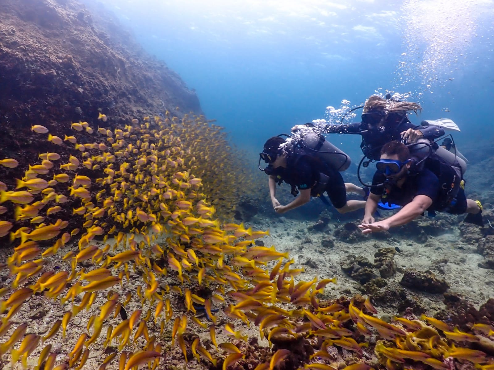 Scuba diving in Koh Samui offers warm waters, coral reefs, and marine life, making it a popular activity for island travelers.